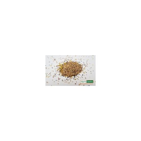 Canary With Egg Bird Food 2Kg