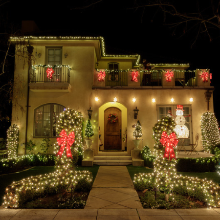 Which Christmas lights are right for you? Which Christmas lights are right for you?