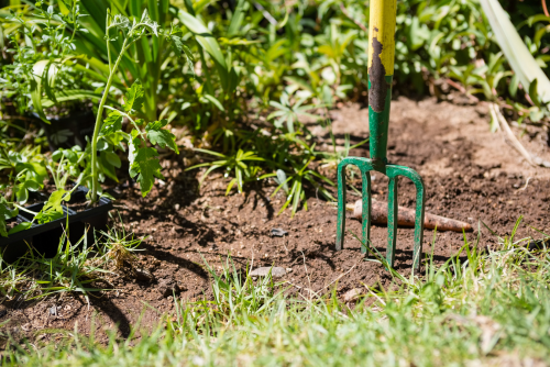 Border Fork - Horticentre Hand Tools - Horticentre