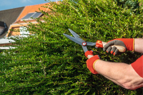 Wolf Garten shears - Horticentre Wolf Garten Range - Horticentre