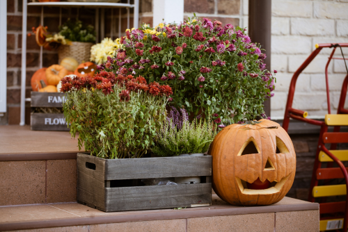 Halloween Decorations - Horticentre Garden Centre