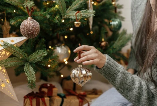 Christmas - Horticentre