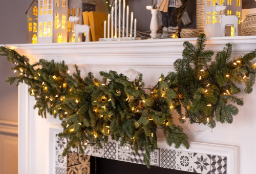 Christmas - Horticentre