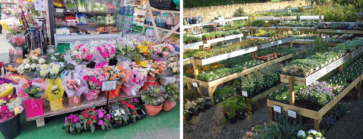 Visit Garden Centre Horticentre in Wakefield