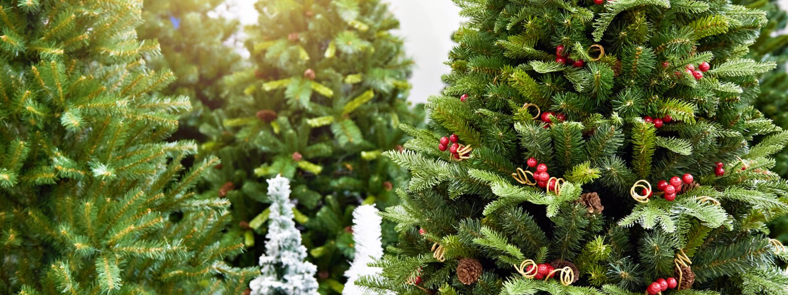 Products Horticentre Your Family Run Garden Centre in Wakefield and Huddersfield