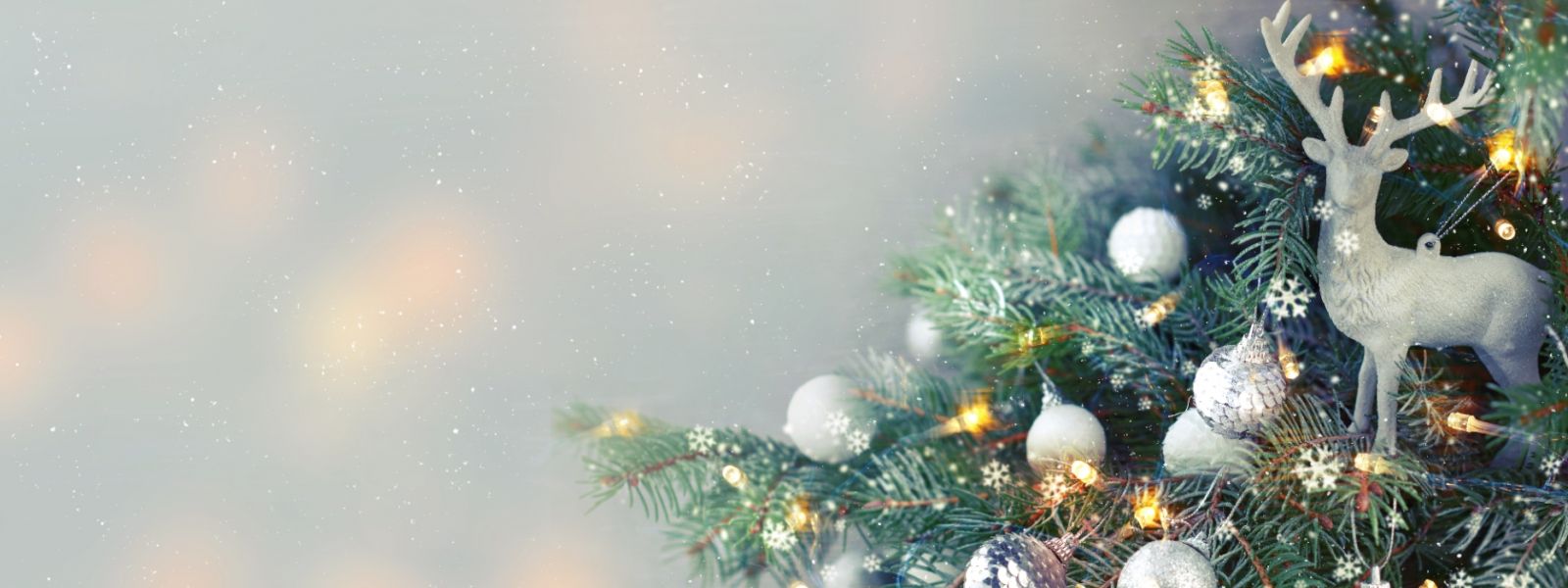 Christmas at Horticentre