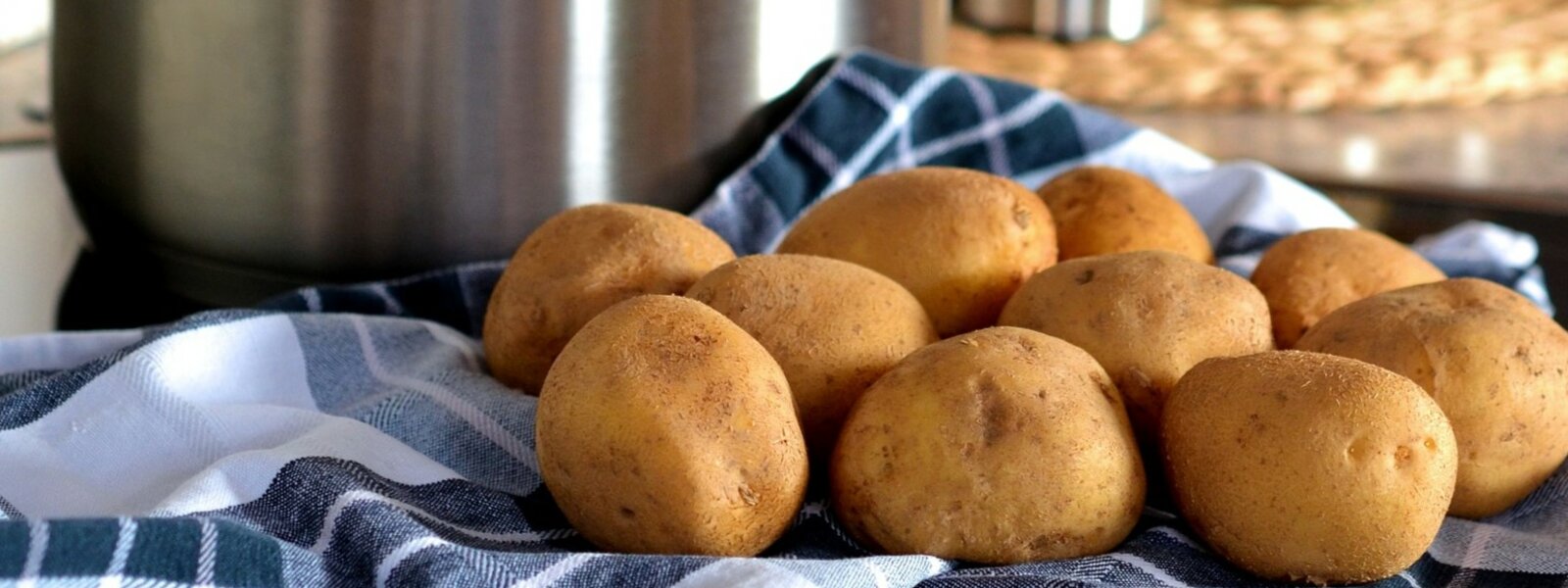 Seed Potatoes