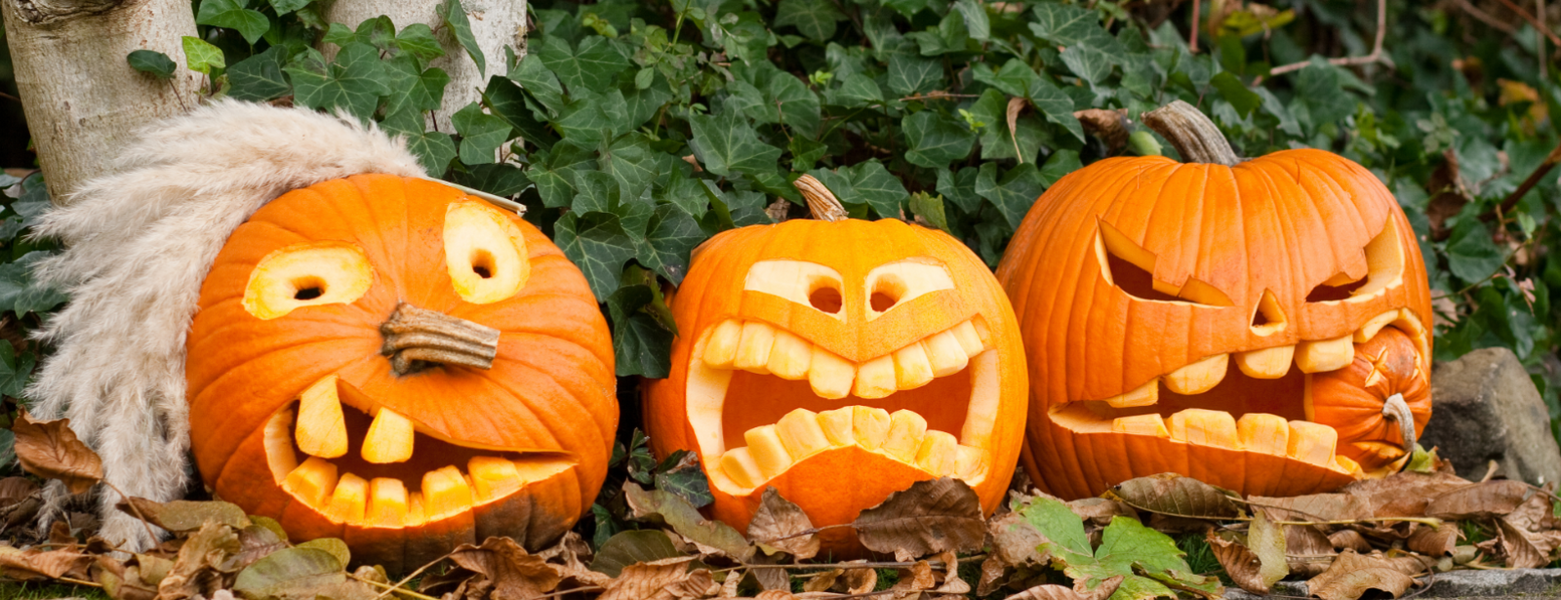 Halloween Decorations