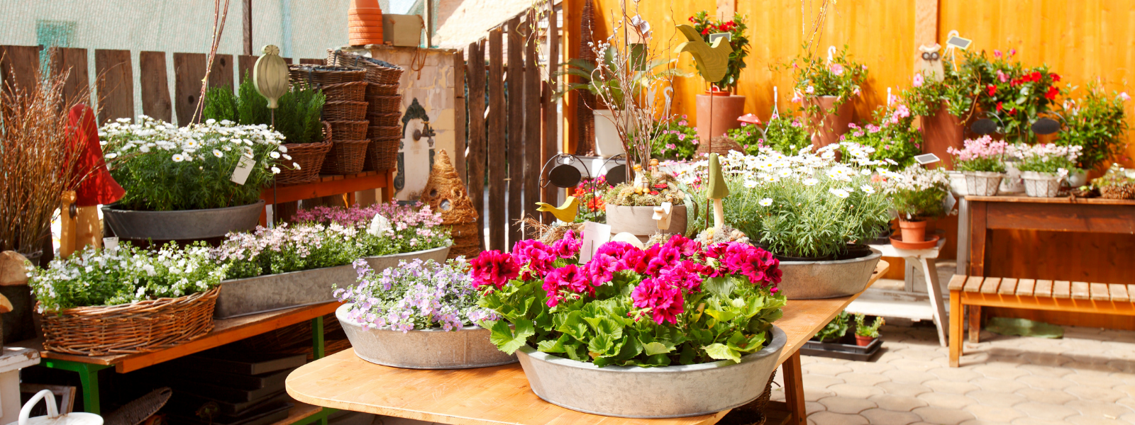 Home & Gift