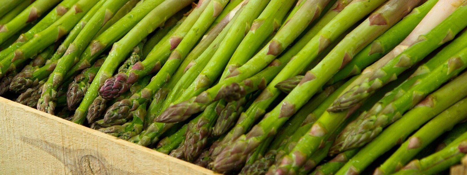 Other Vegetables