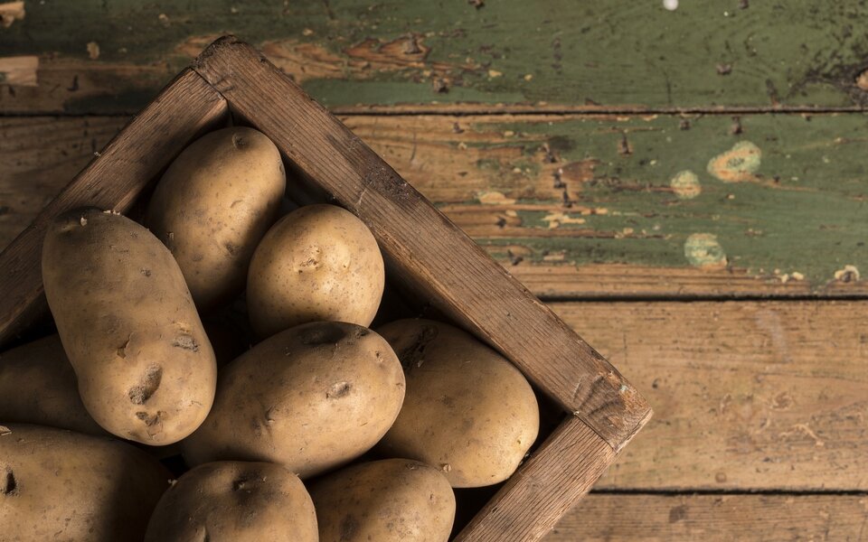 Seed Potatoes for Christmas
