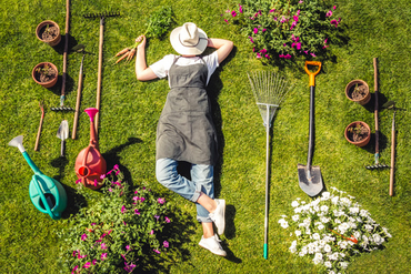 A guide to lawn care in March