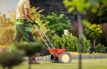 A guide to March lawn care