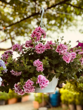 Gift Guide: Mother's Day