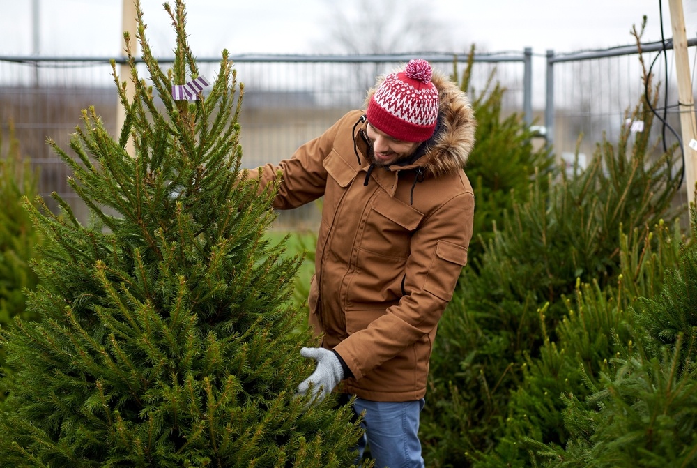 How to choose the perfect Christmas tree - Horticentre - Your Family ...