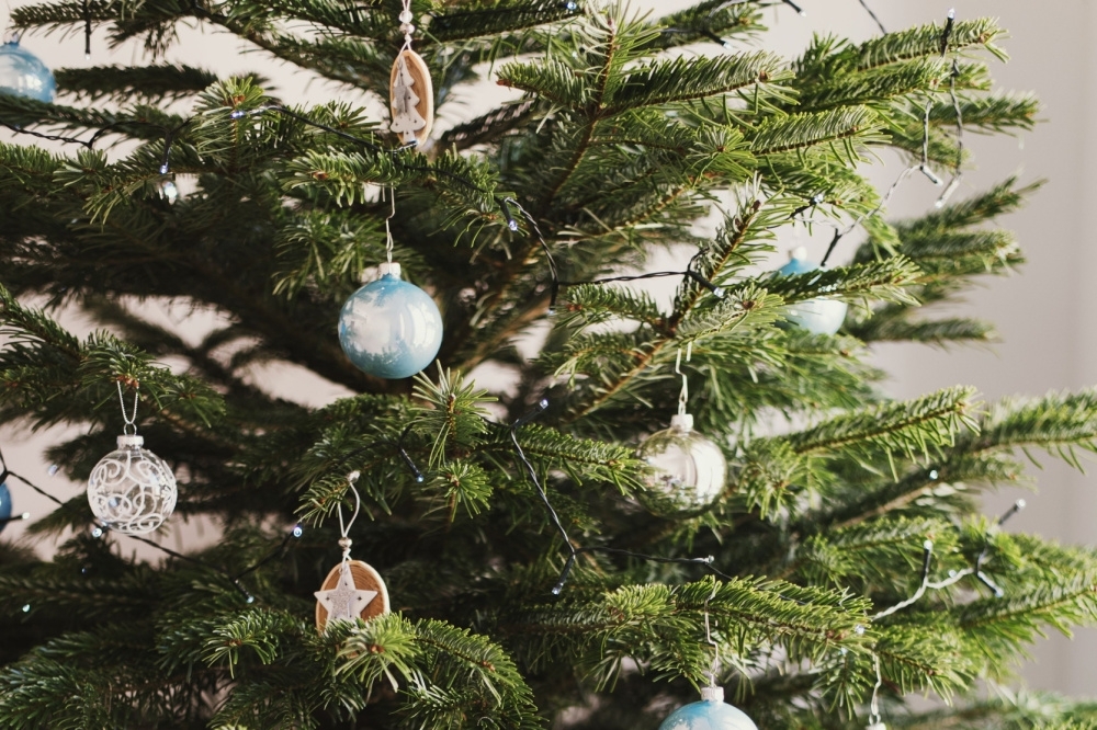 How to keep your Christmas tree fresh for longer Horticentre Your