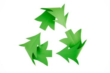 Sustainable ways to recycle your Christmas tree