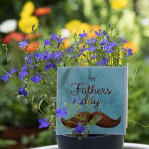 Top 5 ideas for Fathers Day Gifts