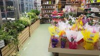 Artificial plants & flowers