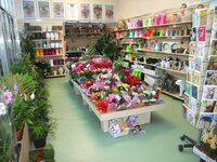 Artificial plants & flowers
