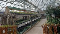 garden centre