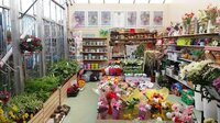 garden centre