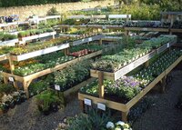 garden centre