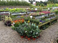 garden centre
