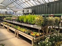 garden centre