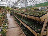 garden centre