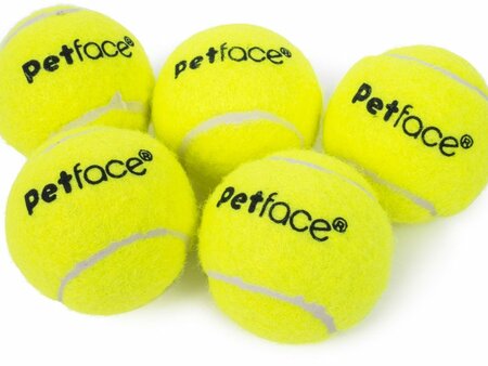 5 Pack Mini Super Tennis Balls Dog Toy