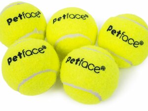 5 Pack Mini Super Tennis Balls Dog Toy