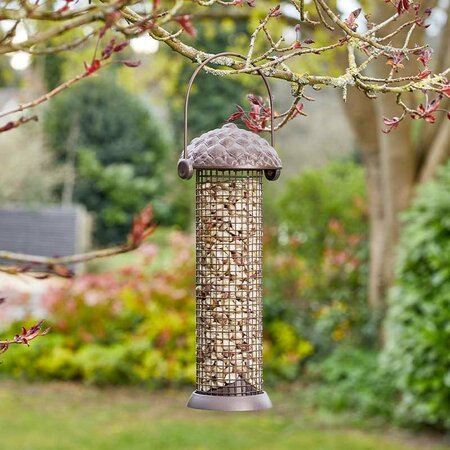 Acorn 26cm Peanut Feeder - image 1