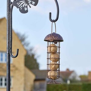 Acorn 26cm Suet Feeder - image 1