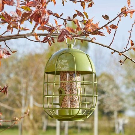 Acorn Squirrel Proof Seed Feeder - image 2