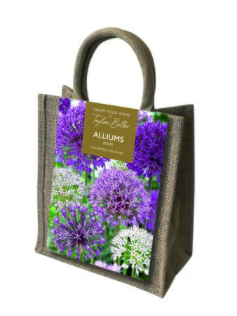 Allium 15 Bulb Hessian Gift Bag 