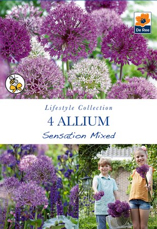 Allium - Sensation Mixed - 4 Pack