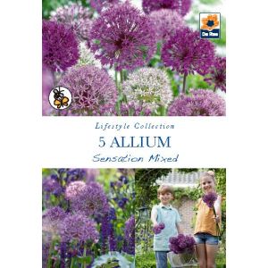 Allium - Sensation Mixed - 5 Pack