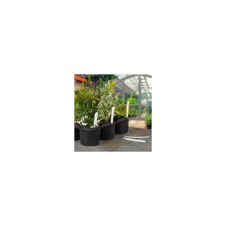 Ambassador 4" Plant Labels Pack Of 100