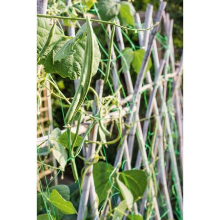 Ambassador Pea & Bean Support Net 10X2M