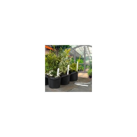 Ambassador Plant Labels 4'' Pack Of 100