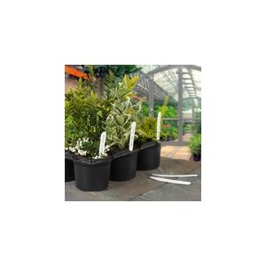 Ambassador Plant Labels 4'' Pack Of 100