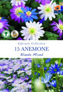 Anemone - Blanda Mixed - 15 Pack