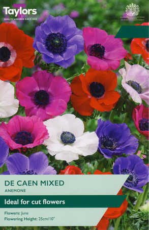 Anemone - De Caen Mixed - 20 Bulb Pack