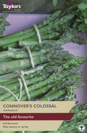 Asparagus Connover's Colossal 2 Bulb Pack