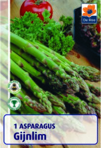 Asparagus Gijnlim 1 Bulb Pack