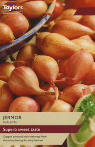 Autumun Planting Shallot Jermor 8 Bulbs £2.99