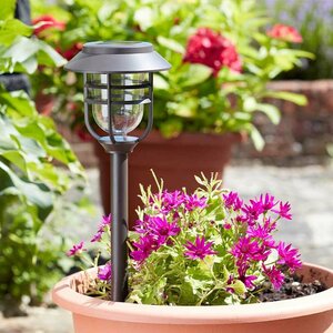 Avant Solar Stake light - 5 Lumen - image 2