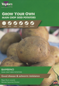 Bambino Seed Potatoes 10 Pack