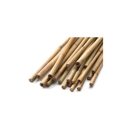 Bamboo Canes 5Ft 24-26 Lbs (12-14Mm)